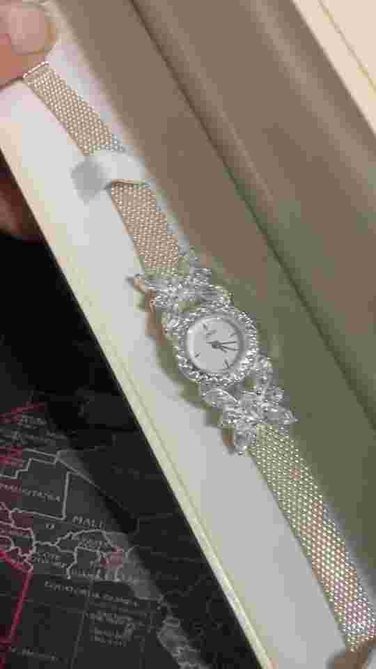 Lenox Crystal Butterfly Sterling Silver Stainless Steel Mesh Band Crystal Watch
