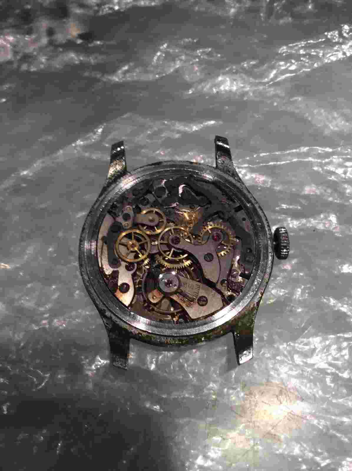 Chronograph Suisse Automagnetic Watch
