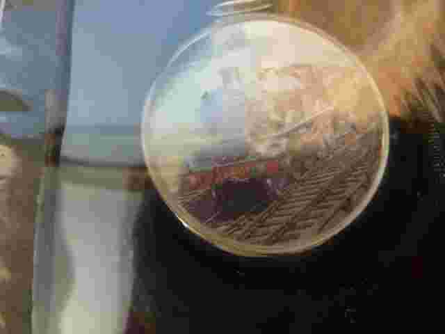 ATLAS EDITIONS "GLORY OF STEAM" SILVER PLATED POCKET WATCH - "STAR CLASS"