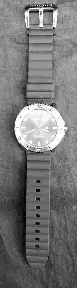 Perry Ellis Deep Diver Watch