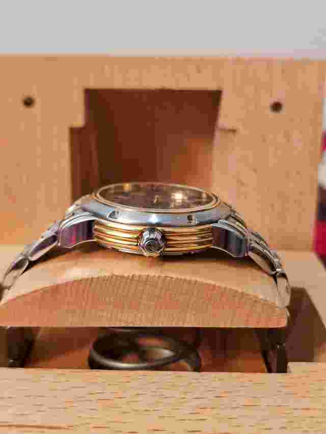 Day/Night 15 Degrees DUAL TIME AUTOMATIC WATCH B0110, B011