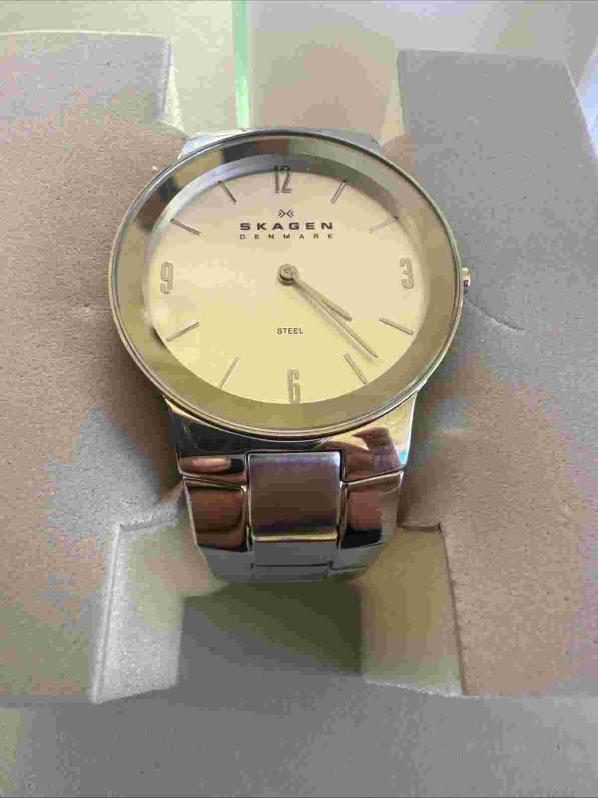 Skagen Quartz Watch/Analog/Stainless Steel/430MSSX1