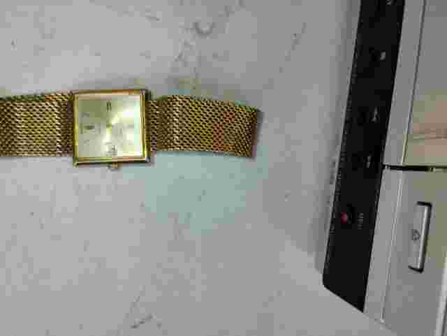 Germinal Voltaire Men’s Wristwatch