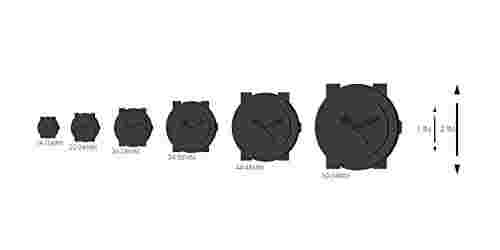 Vivienne Westwood Mens Watch VV065RSBR