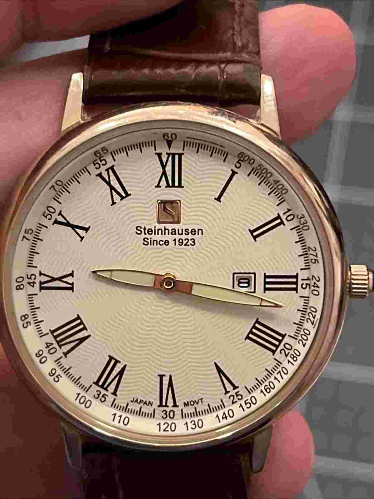 STEINHAUSEN TW483GCA Quartz Gold All SS Unisex Wristwatch