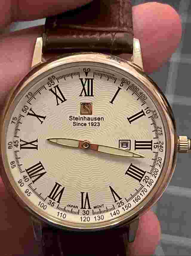 STEINHAUSEN TW483GCA Quartz Gold All SS Unisex Wristwatch