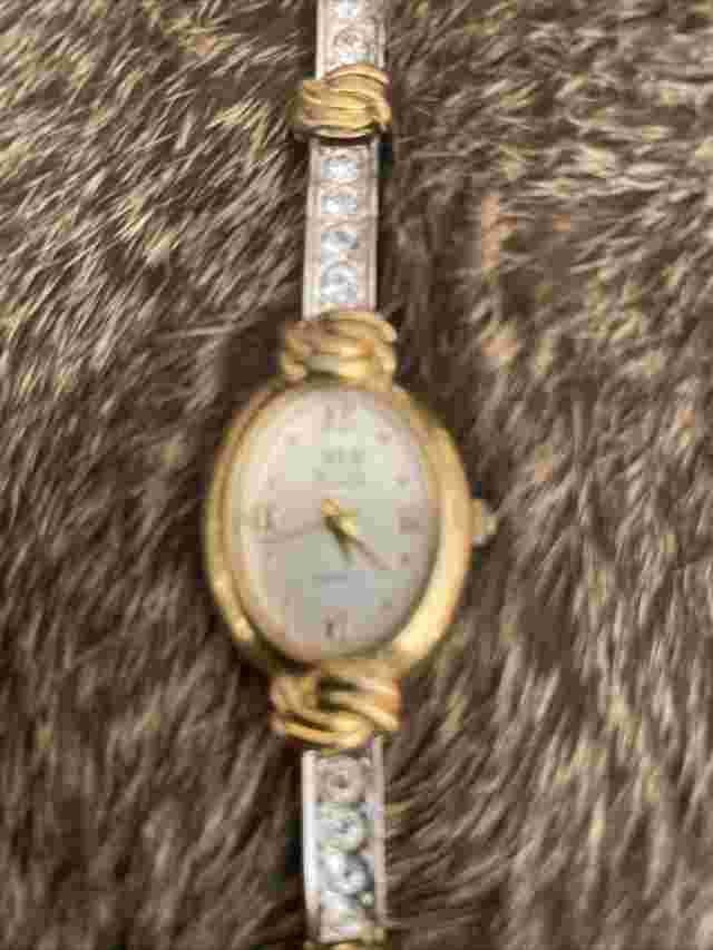 Nolan Miller Quartz Japan Movt Ladies Watch St Steel Two Tone Clear Stone Runs