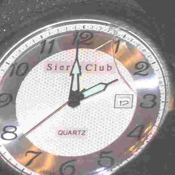 Retro men's Sierra Club Quartz watch on genuine chain and leather strap