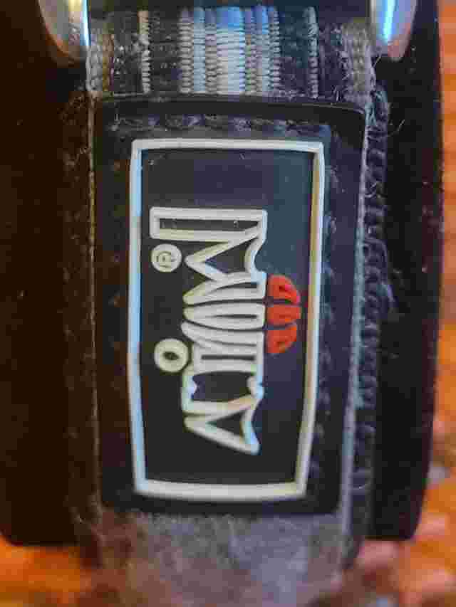Vintage Animal ' Divers Watch WS027 ' Blue Retro Unisex Surf Strap RARE Y2K
