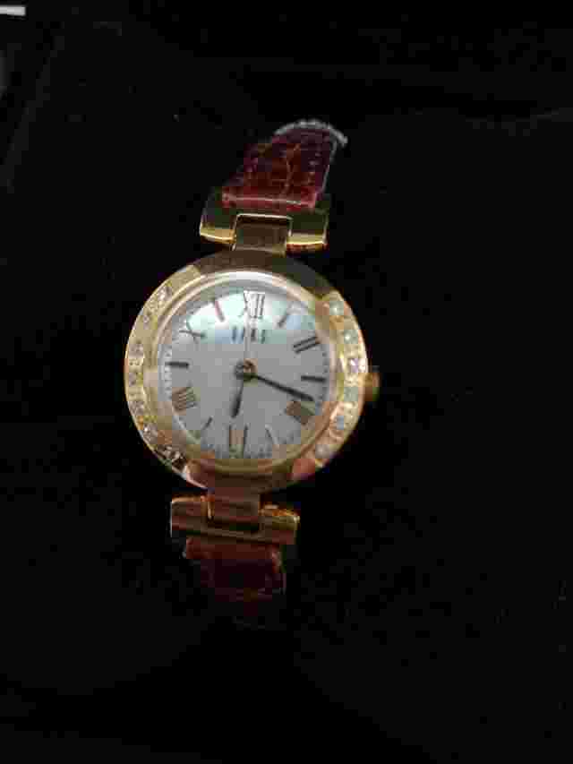 Daks Wr0041Wd Watch