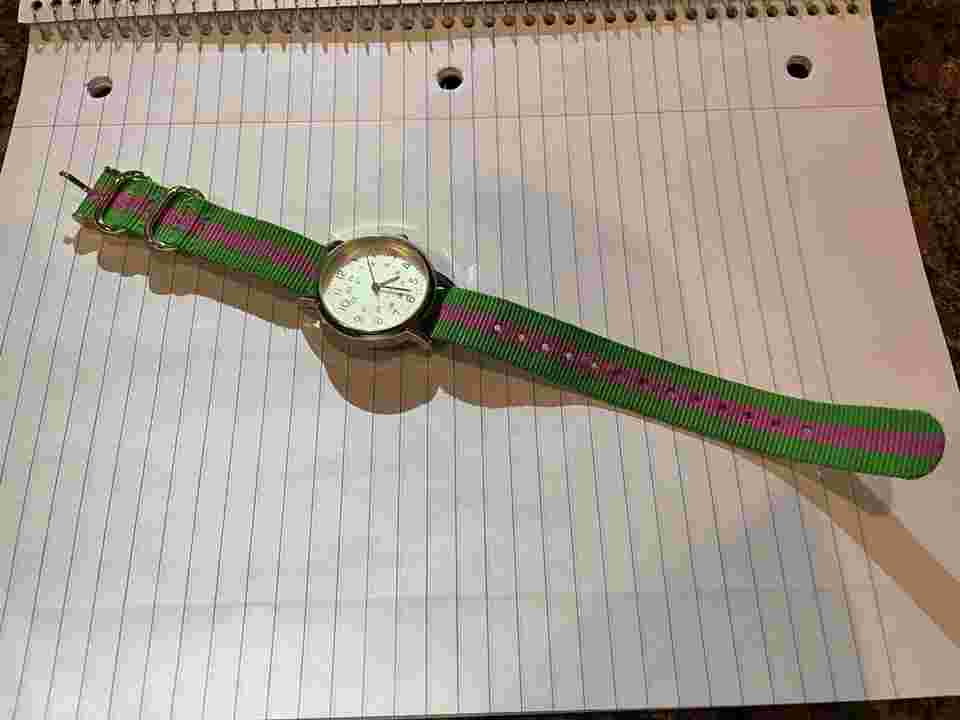 Charming Charlie Watch Pink Green Analog Nylon Band