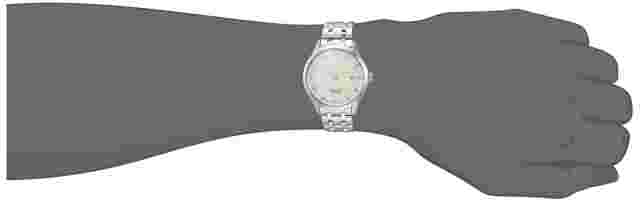 Seiko Blazer Sary185 Japanese Garden Presage 3 Years