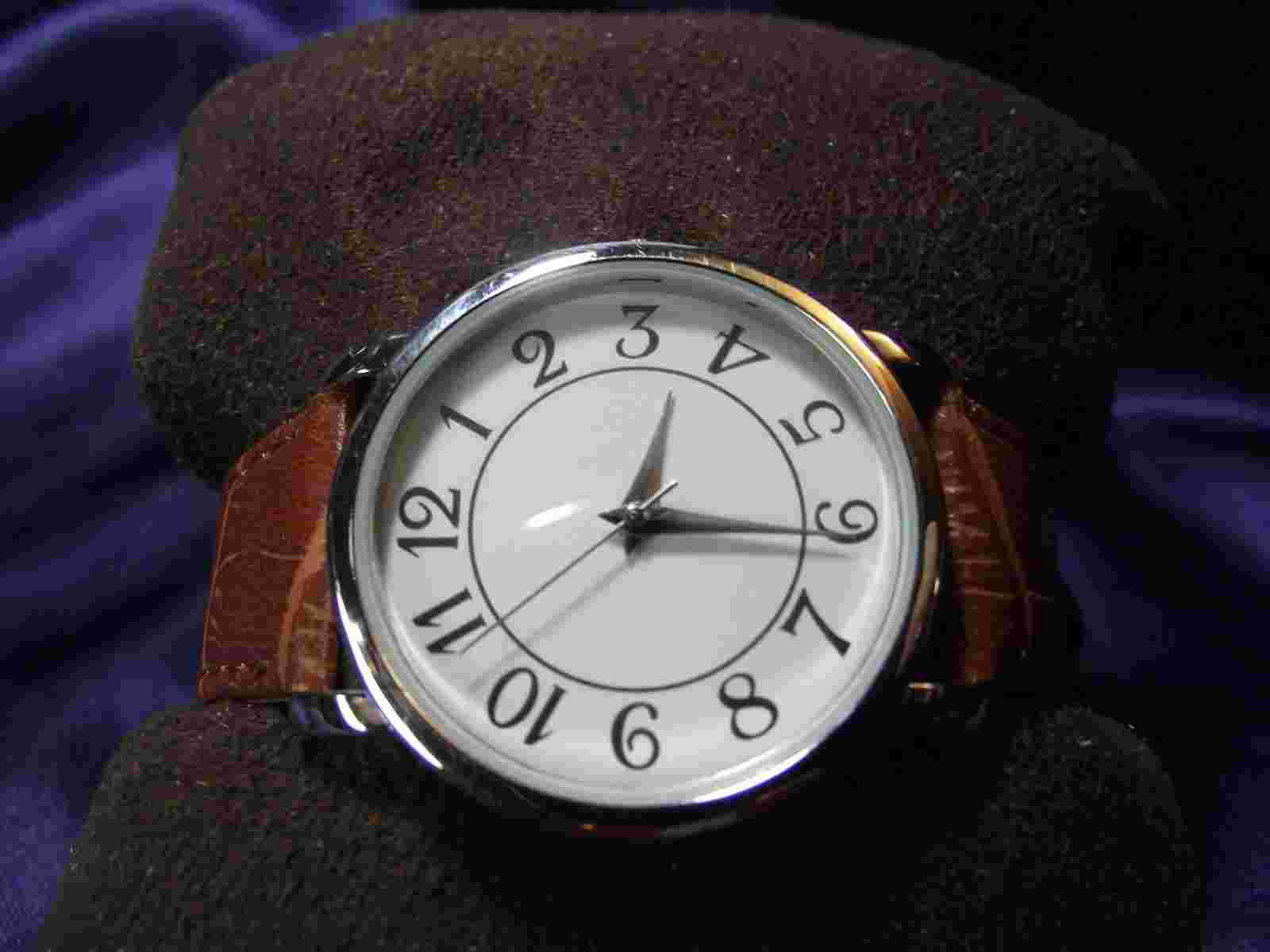 Unisex Calvin Hill Watch with Easy to Read Face**Nice** B61-1113
