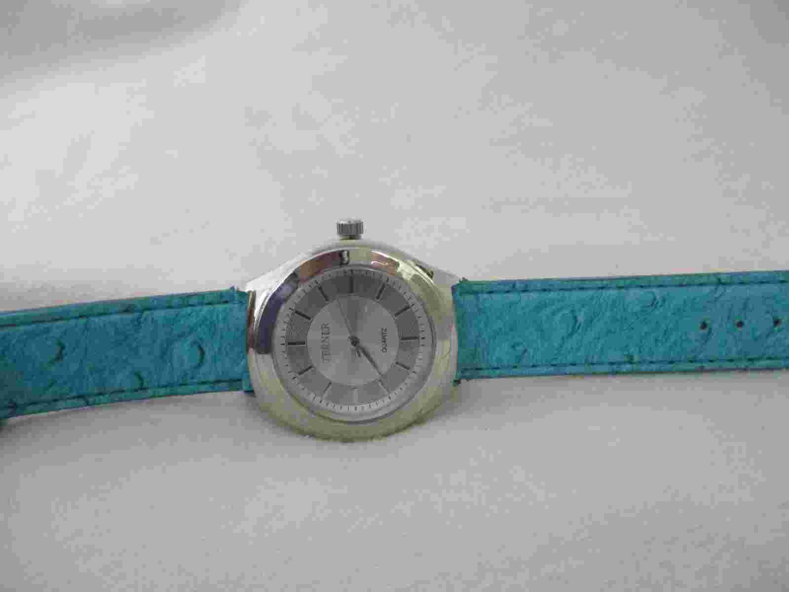 Terner Analog Wristwatch with a Buckle Band and Quartz Movement