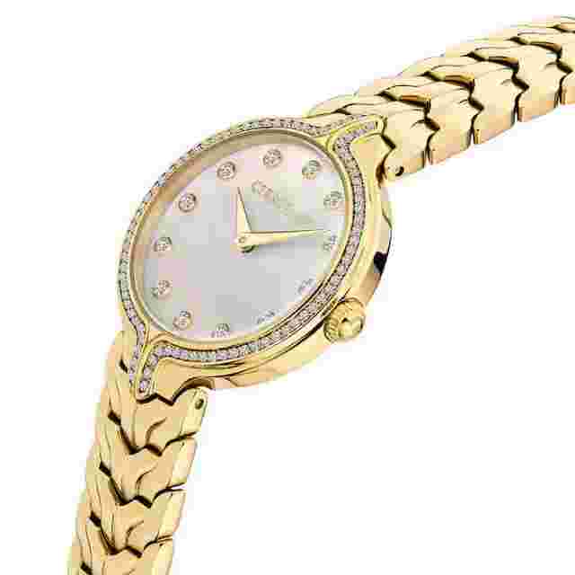 Cerruti 1881 Aurina Classic Swarovski Crystals Gold-Tone Ladies Watch CRM28103