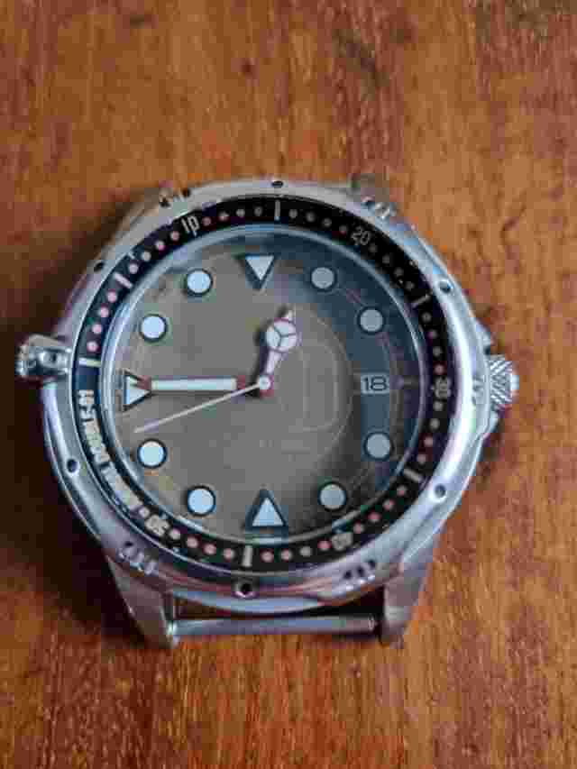 Rare Vintage Animal Double-0-One Surf Divers Watch