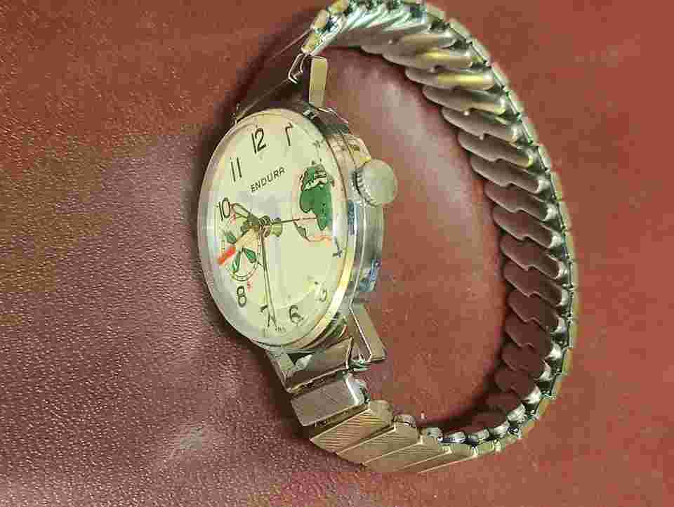 Vintage Endura Compass Watch Free Shipping From USA