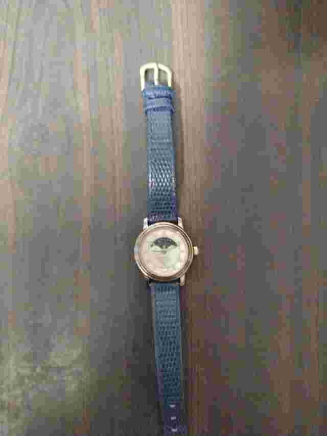 axcess watch