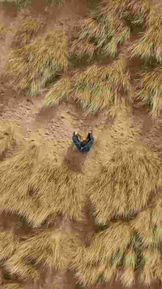 Christopher Ward x Oracle Time C65 Dune Shoreline Limited to 100 pieces