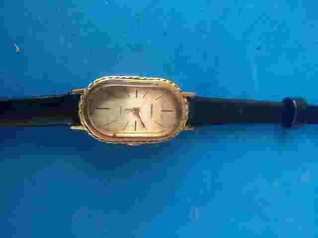 Vintage Nina Ricci Paris Gold Plated Hand Winding 17J Ladies Wristwatch_397