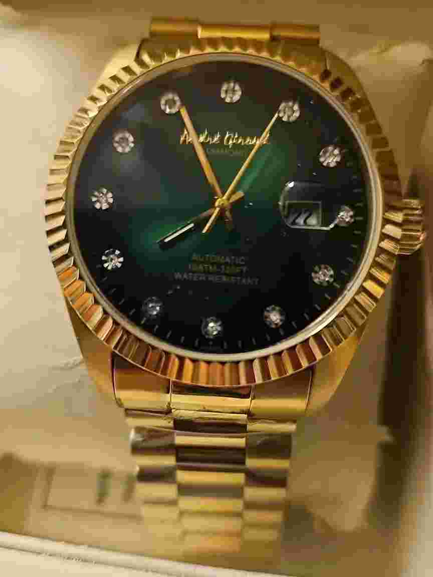 New Andre Giroud Limited Edition  256/999 Genuine Diamond Stainless Steel Watch