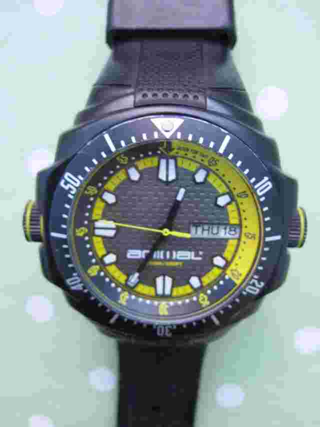 ANIMAL ARMADILO WATCH IN BOX ALSO SELLING RIP CURL QUIKSILVER MAMBO WATCHES