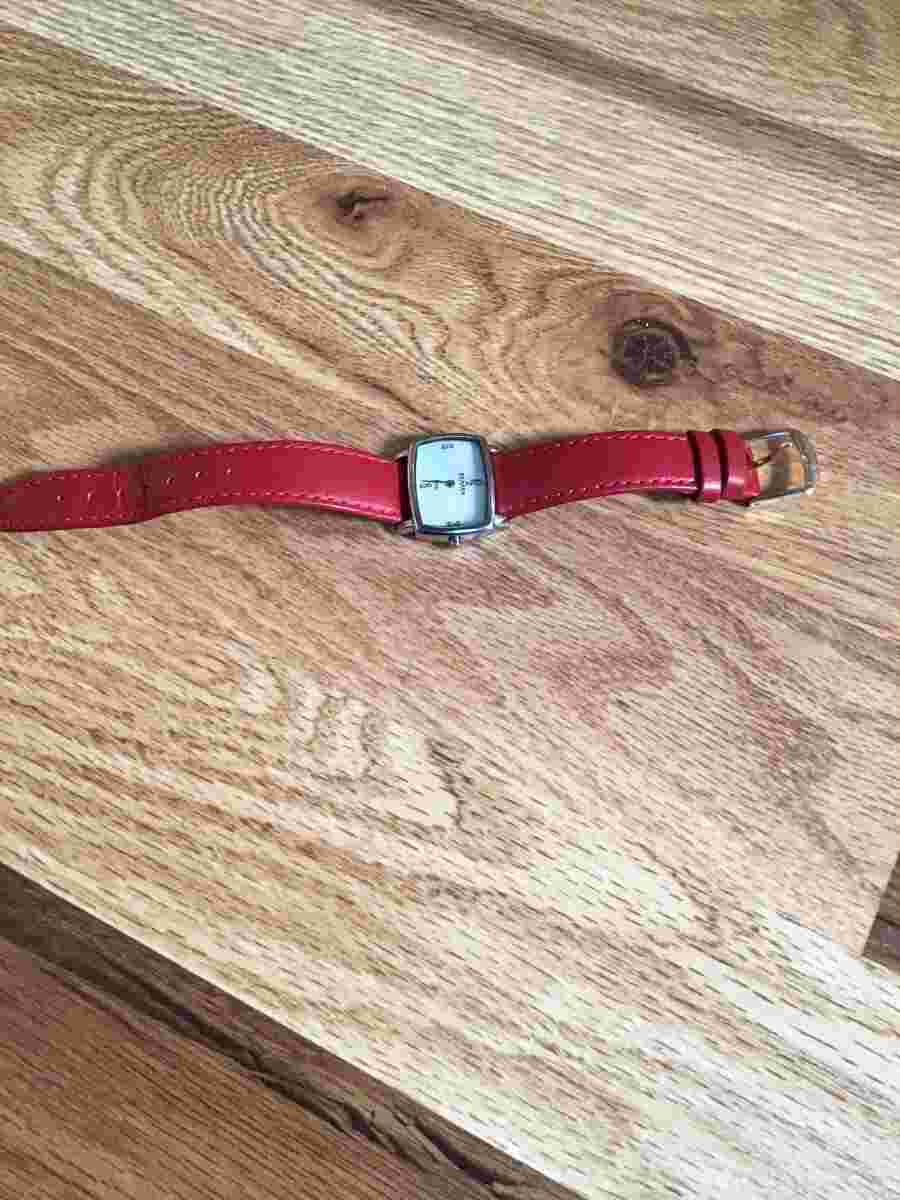 SKAGEN Lady's Wristwatch DENMARK 330SSLWP (PSV000749)