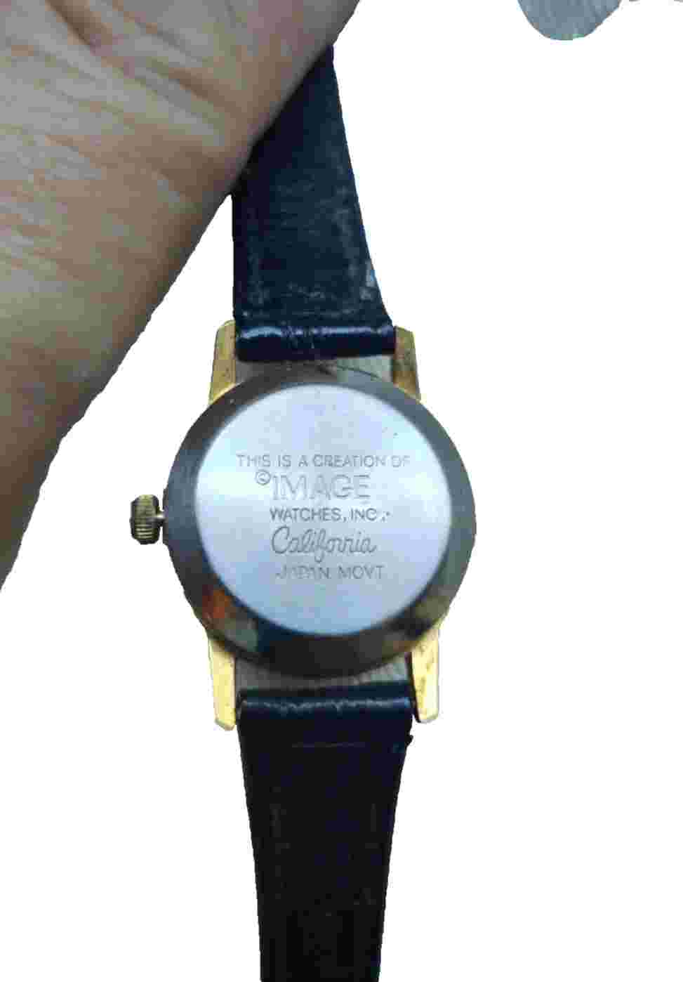 Alpha Sigma State WA Watch