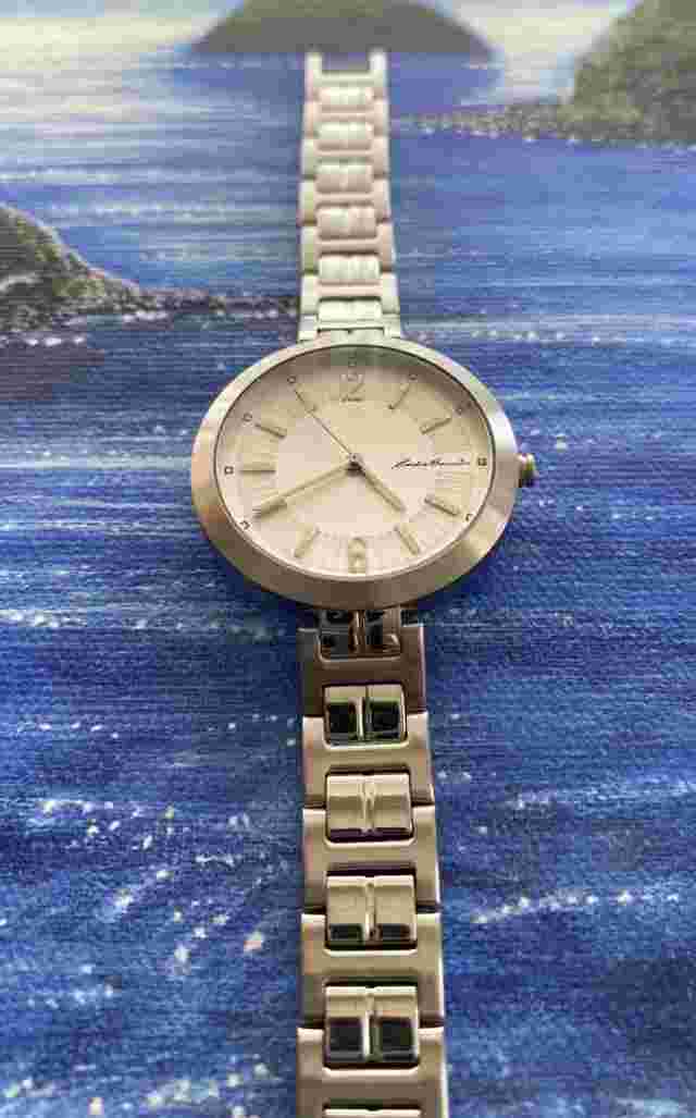 Eddie Bauer Hybrid All Stainless Steel Timepiece Script Signed On Dial #3346