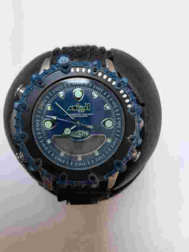 Rare Animal Watch WW452 009 Series Blue Face with Black Tread Wristband New