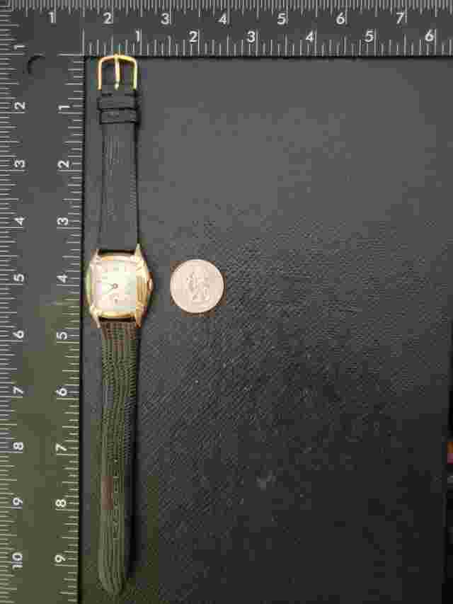 Vintage Avalon Fancy Case New Crystal,New Lizard Calf Band & Just $erviced.
