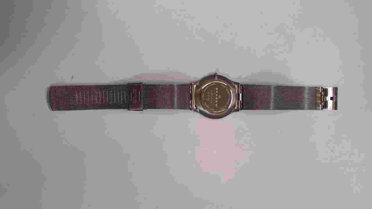 [Japan Used Watch] Skagen Denmark 233Xlttn Quartz Watch
