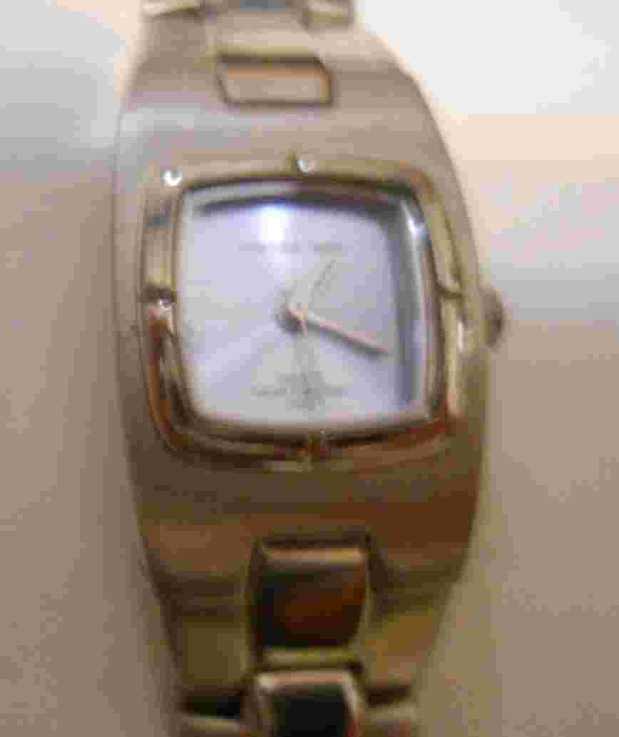 LADIES PANAMA JACK WRIST WATCH SS BAND RUNNING EXCELLENT CONDITION