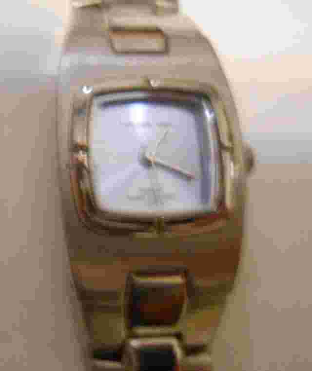 LADIES PANAMA JACK WRIST WATCH SS BAND RUNNING EXCELLENT CONDITION