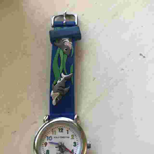 Shark Watch NEW BATTERY