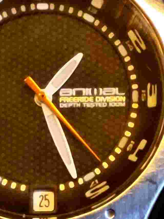 Vintage Animal ' Freedom Division 052 Watch ' Retro Unisex Surf Strap RARE Y2K