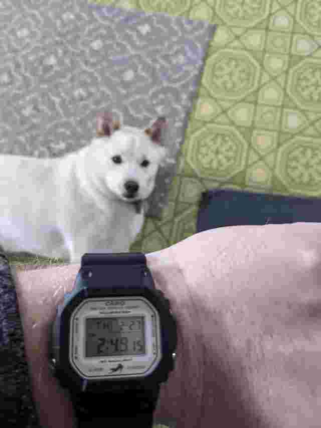 CASIO  G Shock Baby G Pair Watch Black Black Waterproof Watch Hand Present Bir