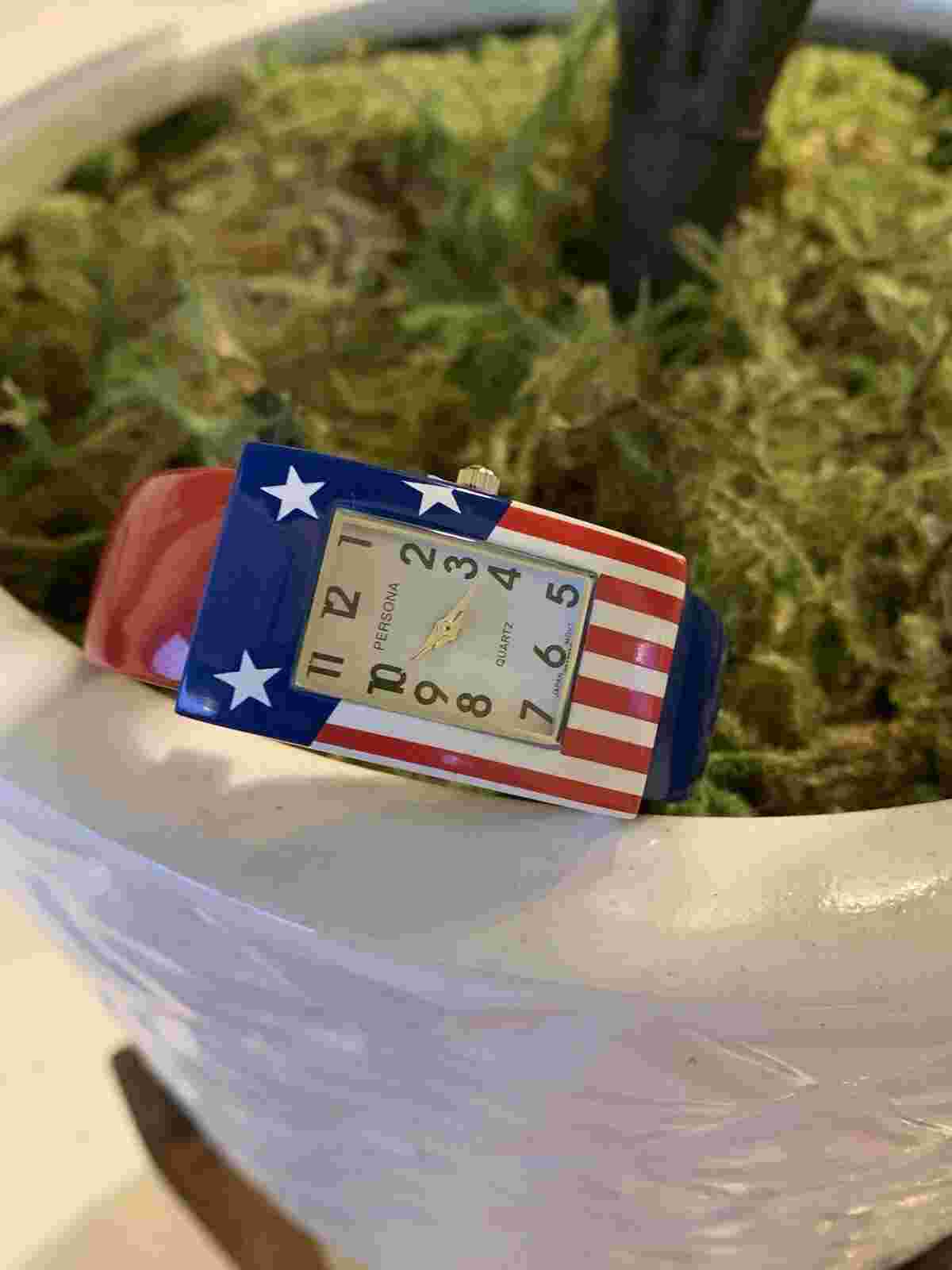 NEW Persona Women Wrist American Flag Quartz Analog Watch Bangle