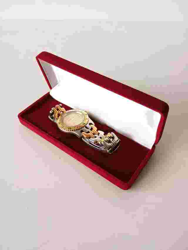 Swiss Eagle Watch Mens Swiss Made 6.519 Water Resistant 100m Stainless Steel