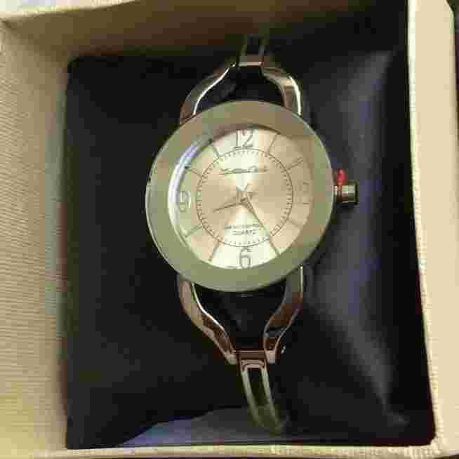 Montres Carlo IP Collection Silver Women's Waterproof Watch Brand New Style!