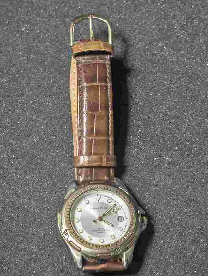 Sierra Club 617 C12-01 Quartz Wristwatch 3atm Water Resistant, Gold/Silver Bezel