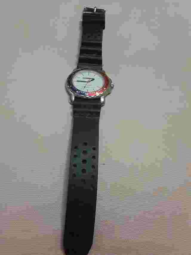 Vintage Colours S/S Quartz Fashion Watch By Alexander Julian (Paris France)