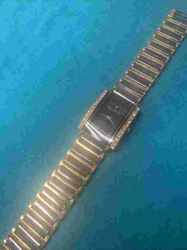 Paul Jardin Quarts Analog Watch With Goldtone Band