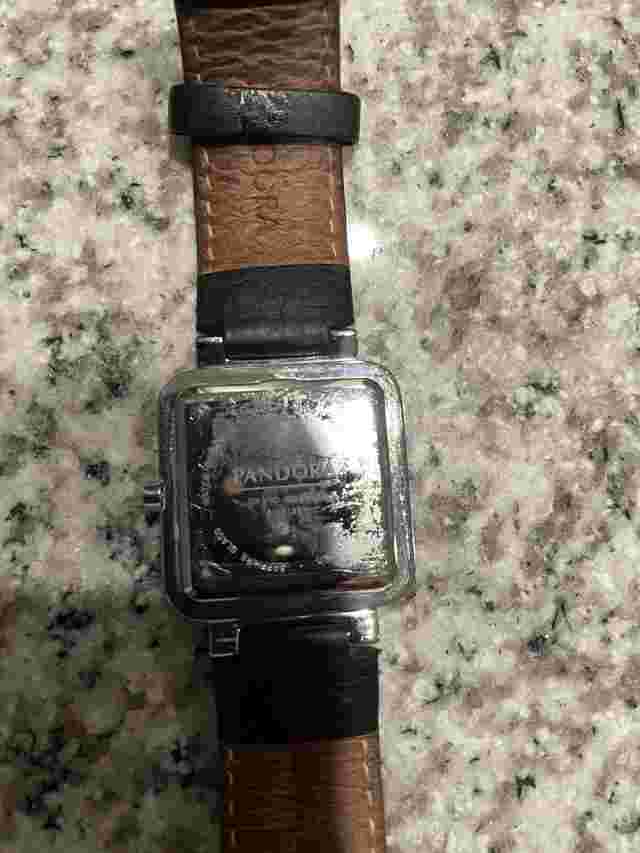 Pandora Watch