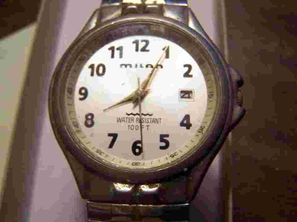 MILAN MENS WATCH STAINLESS W TWIST O FLEX BAND new BATTERY 100 ft water