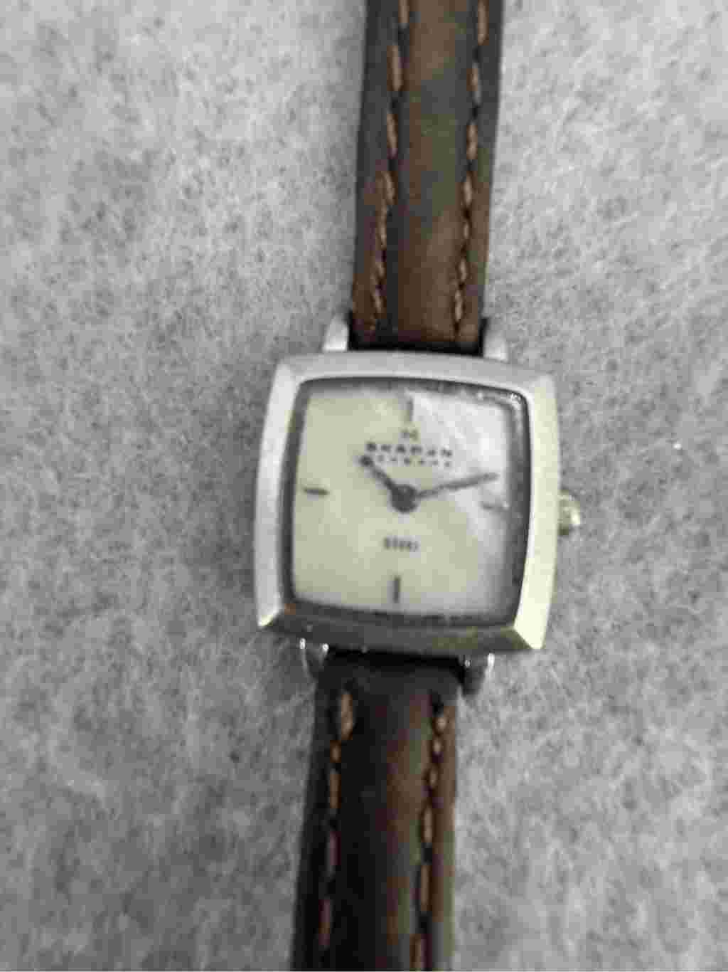 Skagen Denmark Womens Brown Silver Slim Water Resistant Bracelet Watch