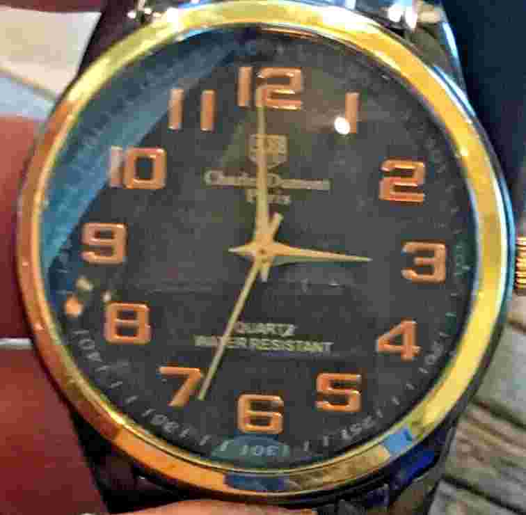 Charles Dumont Watch Paris Men-substantial water resistant New Battery RUNS WELL