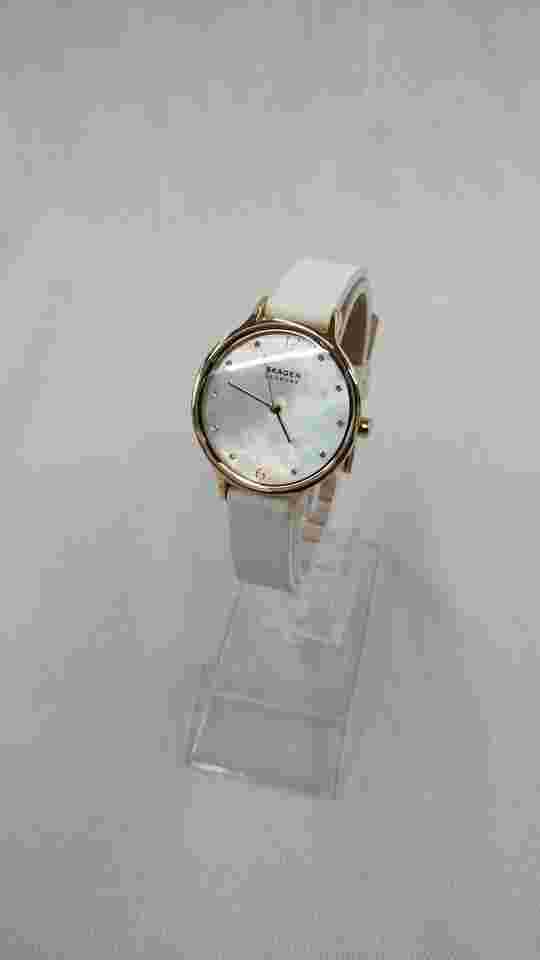 Skagen Denmark 742402