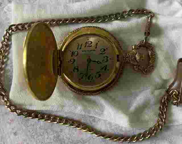 Milan Bird Dog/duck Hunting Pocket Watch-new Battery