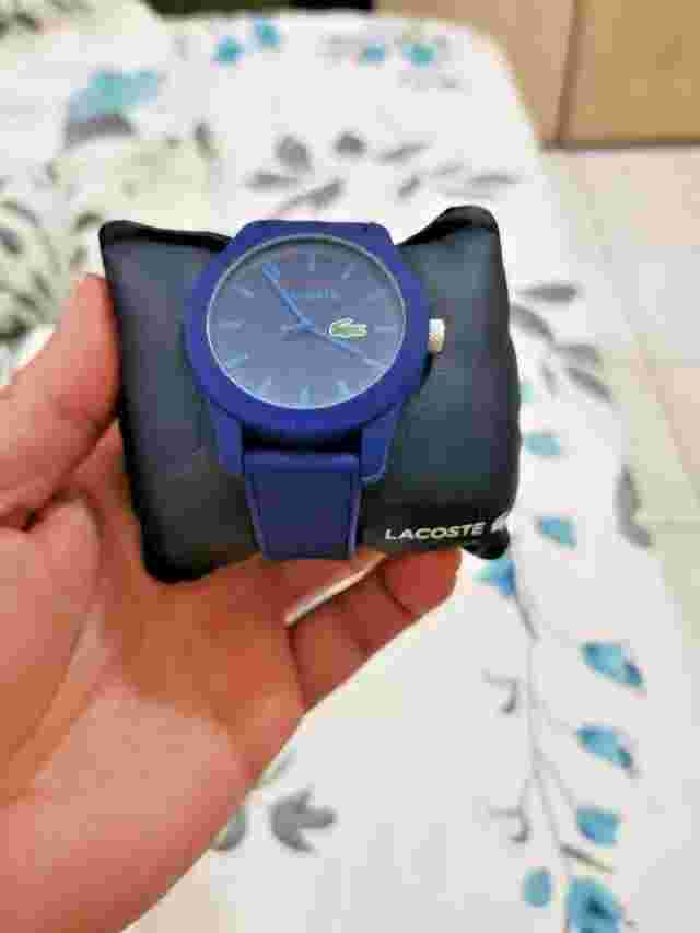 new lacoste watch blue